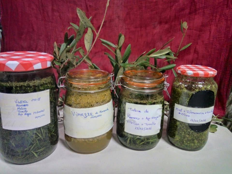 Preparados vegetales elaborados en clase