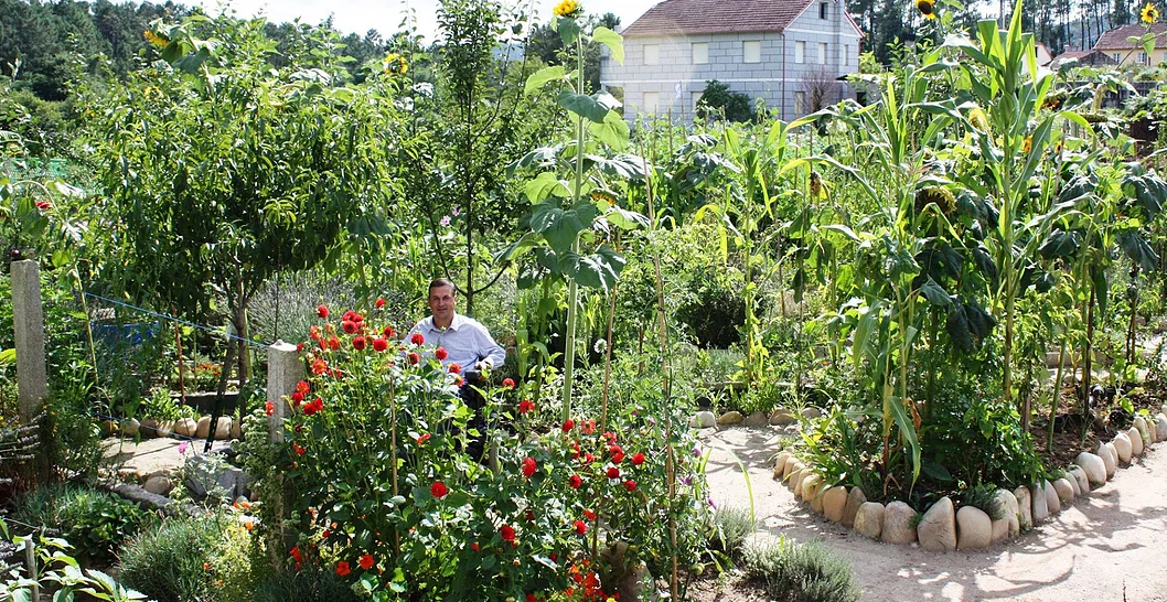 Jardín de plantas empleado en una actividad formativa