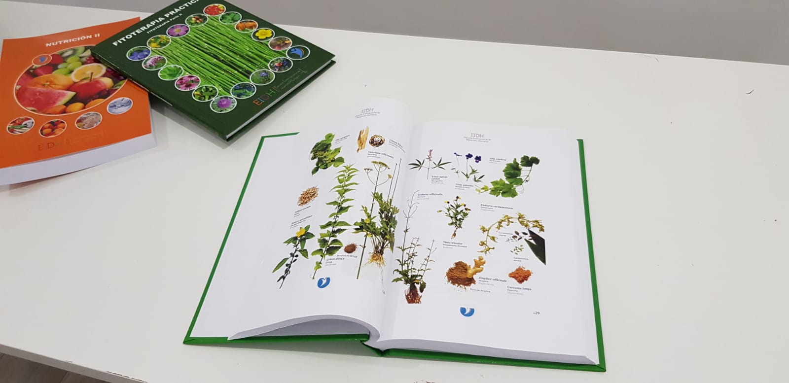 Trabajo de identificación vegetal realizado por un alumno