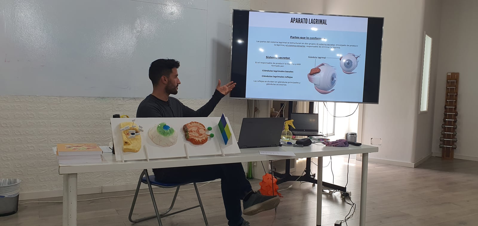 Exposición sobre el ojo con una maqueta y apoyo audiovisual